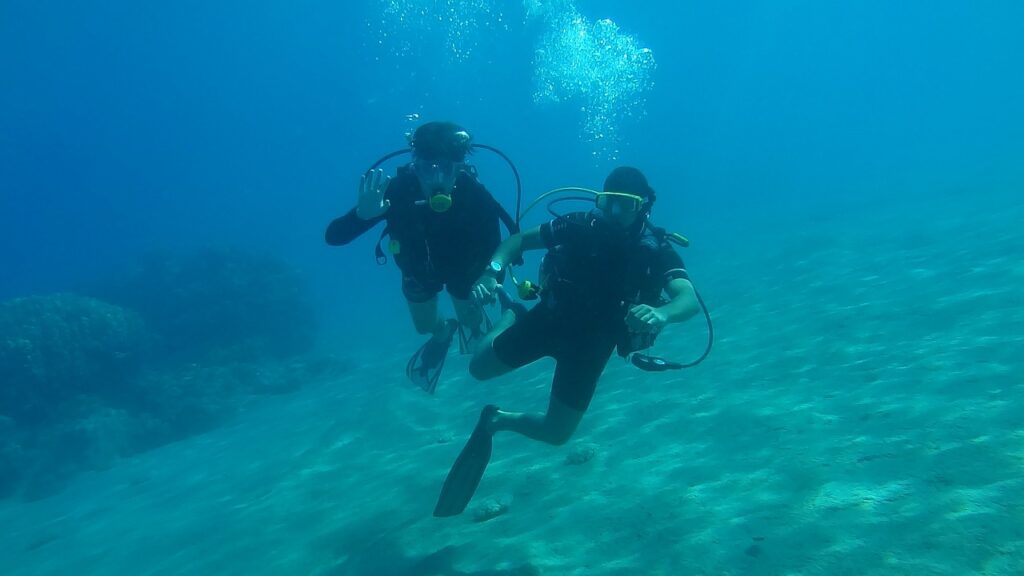 diving, sea, underwater